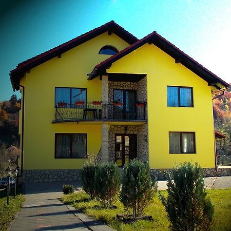 Casa Olteanu Pension Moieciu de Jos Ngoại thất bức ảnh
