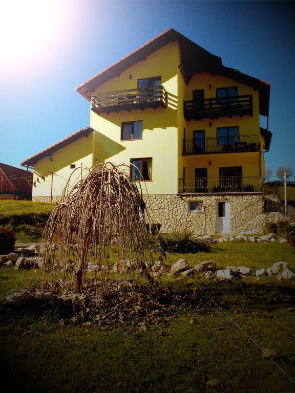 Casa Olteanu Pension Moieciu de Jos Ngoại thất bức ảnh